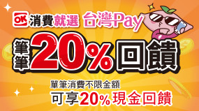 台灣PAY筆筆20%回饋